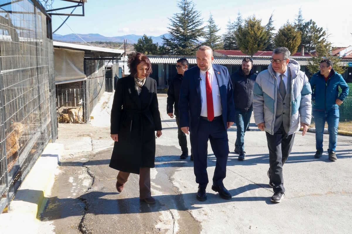 Uşak'ta patili dostlar Geçici Hayvan Bakımevi’nde güvende 1